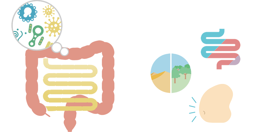 腸内の細菌のイメージ図